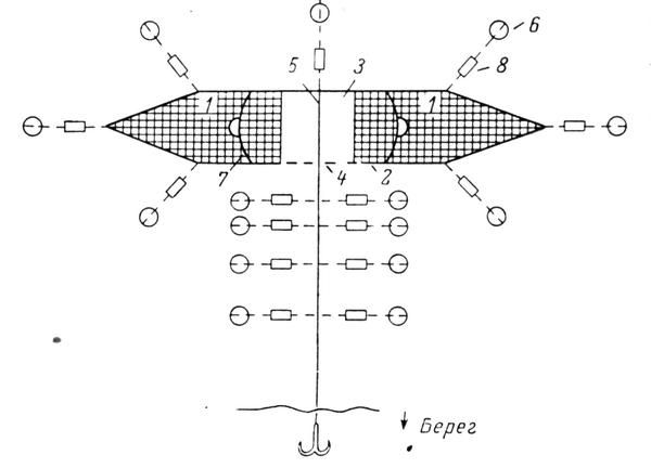 Рис. 4. Летняя семужья завеска с поддоном. 1 - тайники; 2 - сеть (щека);, 3 - завод; 4 - веревка от щек; 5 - стеновая сеть; 6 - грузила; 7 - угол тайника, куда загоняют семгу для выемки (паклинок); 8 - поплавки.