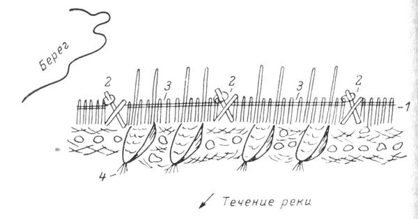 Рис. 5. Речной семужий закол. 1 — плетень; 2 — козлы; 3 — слеги; 4 — верши.