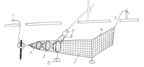 Рис. 7. Подледная установка наважьей рюжи (Летний, Онежский берега). 1 - матица («кут»); 2 — крыло; 3 — горла («воронки»); 4 — кляч; 5 — клячевик; 6—8 - припособления, удерживающие входное кольцо рюжи в вертикальном положении: 6 — сеть («ухо»), 7 — поплавок («полтасок»), 8 — грузило.