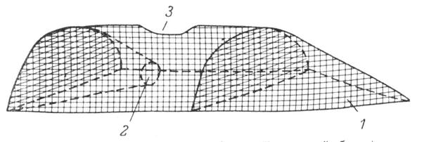 Рис. 8. Часть наважьего «убега» (Поморский берег). 1 — матица («кут»); 2 — горло; 3 — отверстия для выемки рыбы.