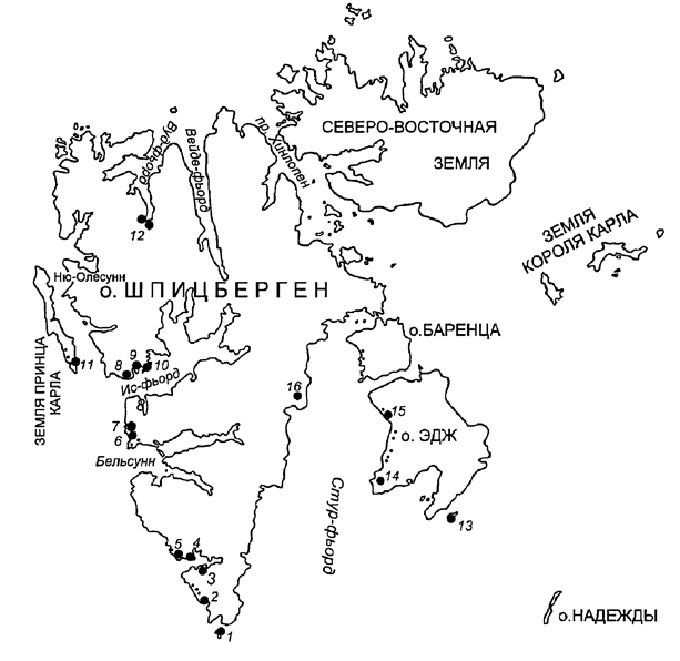 Рис. 21. Основные места находок судового дерева на архипилаге Шпицберген. 1 - поселение Мосватнер; 2 - побережье Терфлюа; 3 - побережье Расступет; 4 - поселение Ревэльва; 5 - поселение Руссепюнтен; 6 - поселение Гравшен; 7 - поселение Стаббэльва; 8 - поселение Трюгхамна; 9 - поселение Имербукта; 10 - мыс Эрдмана; 11 - побережье Куккельстранда; 12 - залив Вуд-фьорд; 13 - остров Полумесяца; 14 - поселение Экролхамна; 15 - залив Дискобукта; 16 - ледник Хейса