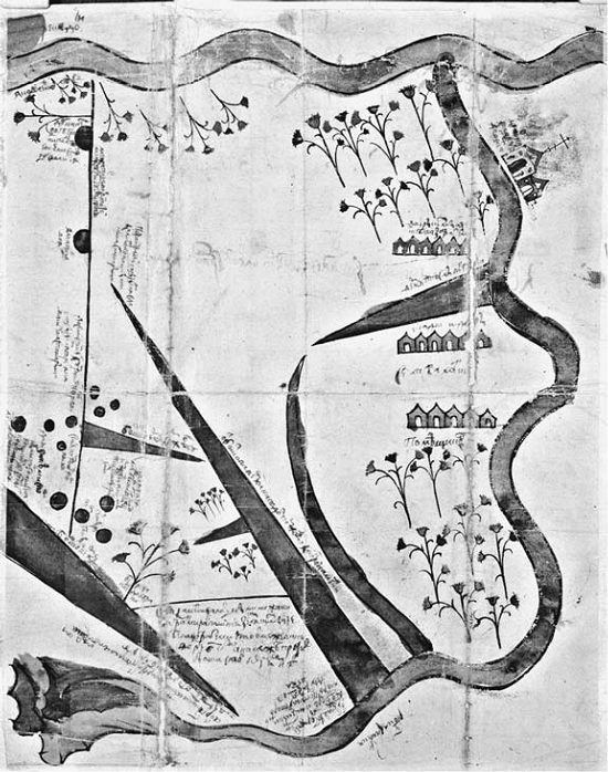 Рис. 3.22. РГАДА. Ф. 1209. Елец-Ефремов. Стб. 24155. Ч. 2. Л. 327. Эта очаровательная картина из Ельца была одной из двух конкурирующих версий, представленных в деле, в котором древние могильные холмы — курганы (изображенные здесь в виде темных кругов) отмечали границы между владениями. Их местоположение было предметом спора. Гигантские цветущие растения с зеленовато-голубыми и темно-розовыми бутонами заполняют пейзаж. Выделяются ряды домов, принадлежащих землевладельцам и крестьянам — незаменимым свидетелям по делу.